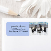 Black Pinto Quarter Pferde Paint Pferde im Schnee (Insitu)