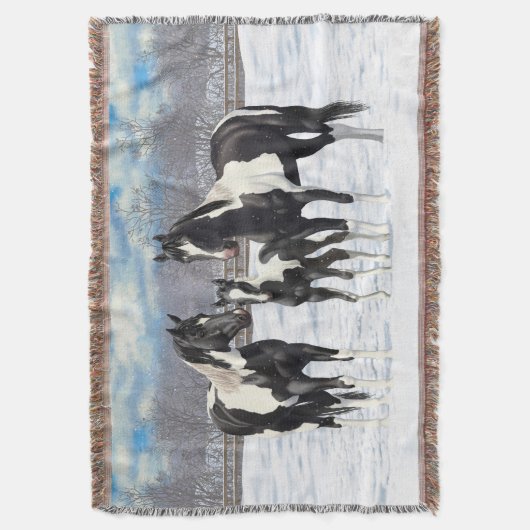 Black Pinto Quarter Pferde Paint Pferde im Schnee Decke (Vorderseite Vertikal)