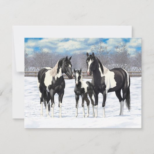 Black Pinto Quarter Pferde Paint Pferde im Schnee Einladung (Vorderseite)