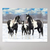 Black Pinto Quarter Pferde Paint Pferde im Schnee Poster (Vorne)