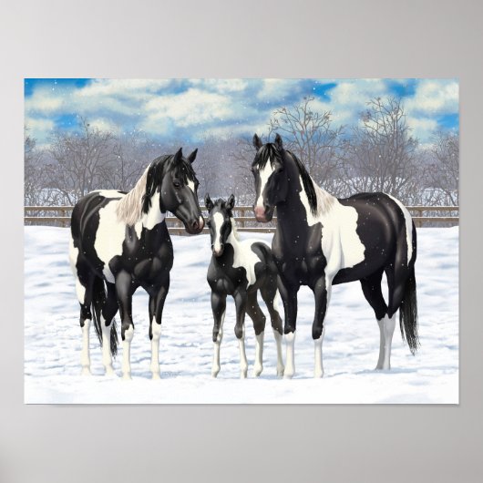 Black Pinto Quarter Pferde Paint Pferde im Schnee Poster (Vorne)