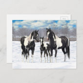 Black Pinto Quarter Pferde Paint Pferde im Schnee Postkarte (Vorne/Hinten)