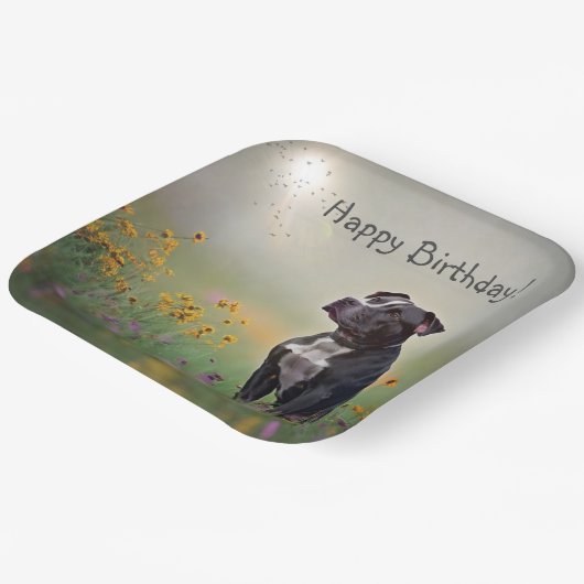 Black Pitbull Birthday Pappteller (Gewinkelt)