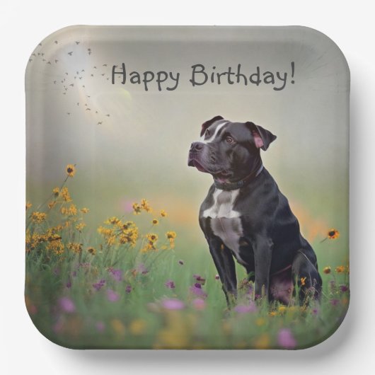 Black Pitbull Birthday Pappteller (Vorderseite)
