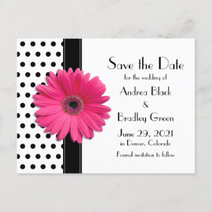 Black Polka Dots Pink Daisy Wedding Save the Date Ankündigungspostkarte