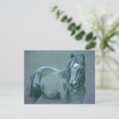 Black Pony Postcard Postkarte (Stehend Vorderseite)