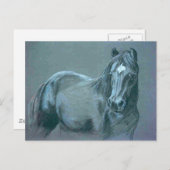Black Pony Postcard Postkarte (Vorne/Hinten)