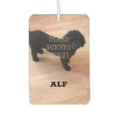 Black Poodle Autolufterfrischer (Vorderseite)