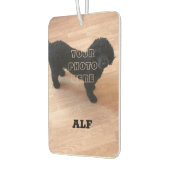 Black Poodle Autolufterfrischer (Links)