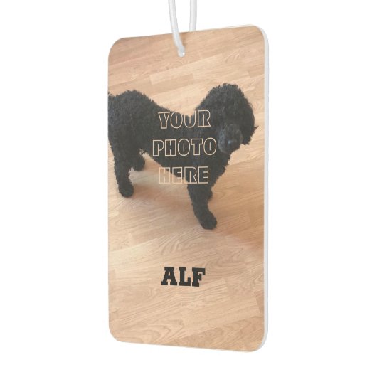 Black Poodle Autolufterfrischer (Links)
