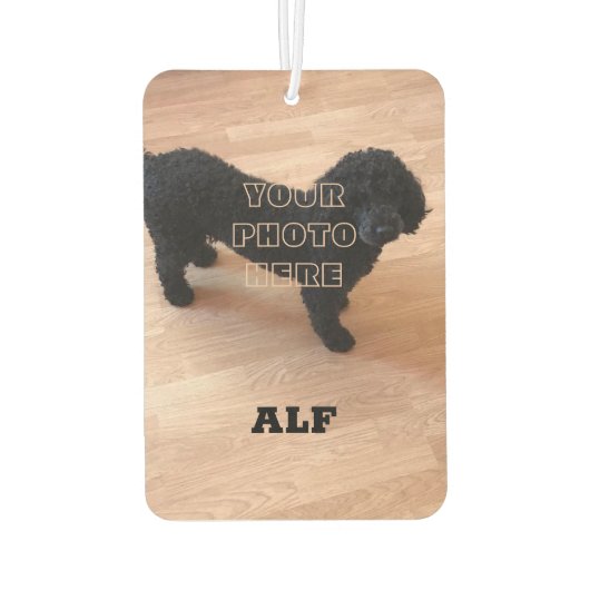 Black Poodle Autolufterfrischer (Rückseite)