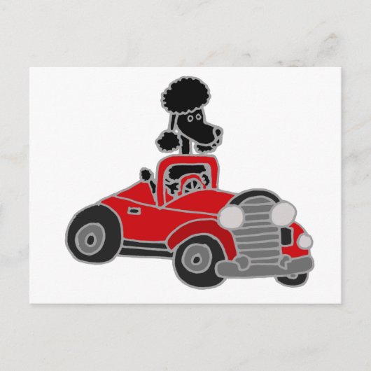 Black Poodle Driving Red Convertible Car Postkarte (Vorderseite)