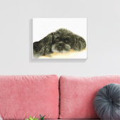 Black Poodle Leinwand gerahmt (Insitu (Wohnzimmer))