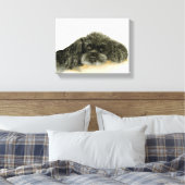 Black Poodle Leinwand gerahmt (Insitu (Schlafzimmer))