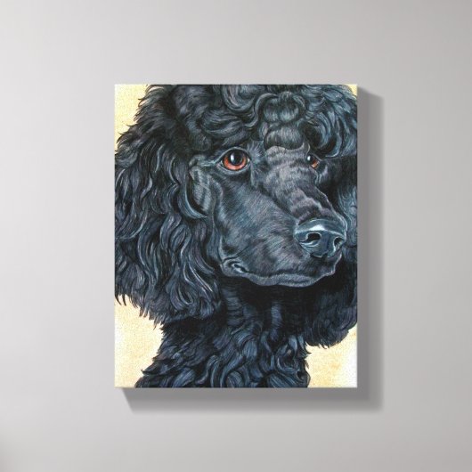 Black Poodle Leinwanddruck (Vorderseite)