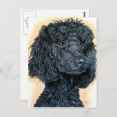 Black Poodle Postkarte (Vorne/Hinten)
