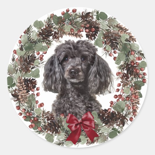 Black Poodle Red Bow Pinecone Kronplatz Weihnachte Runder Aufkleber (Vorderseite)