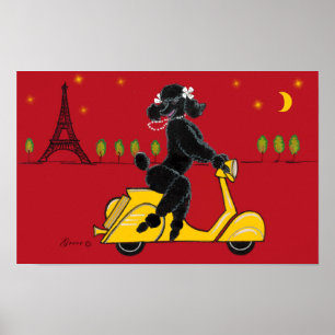Black Poodle Scooter Poster Print