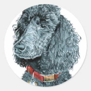 Black Poodle Whitney Stickers
