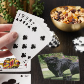 Black Pug Standing Looking at Camera Spielkarten (In Situ)