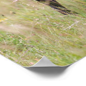 Black Pug Sticking Out Tounge Poster (Ecke)