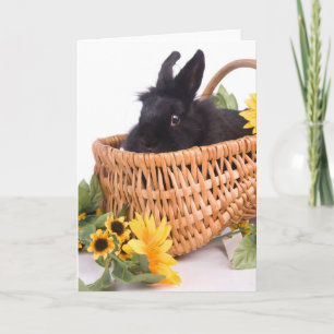 black rabbit feiertagskarte