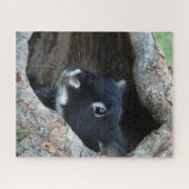 Black Rabbit in Hollow of a Tree Photo Puzzle (Horizontal)