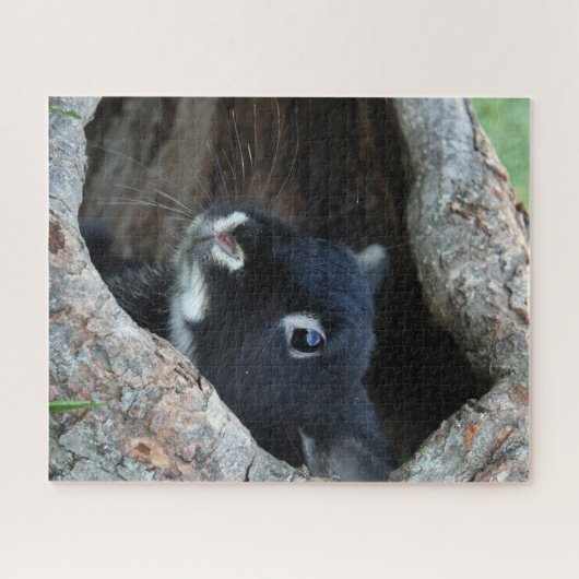 Black Rabbit in Hollow of a Tree Photo Puzzle (Horizontal)