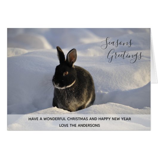 Black Rabbit Winter Snow Xmas Foto Personalisiert (Vorderseite (Horizontal))