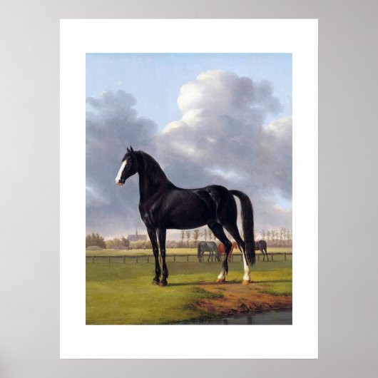 Black Race Horse Circa 1828 Poster (Vorne)