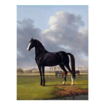 Black Race Horse Circa 1828