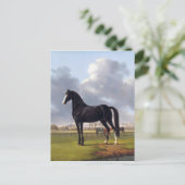 Black Race Horse Circa 1828 Postkarte (Stehend Vorderseite)