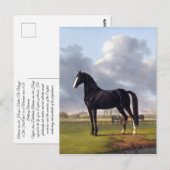 Black Race Horse Circa 1828 Postkarte (Vorne/Hinten)