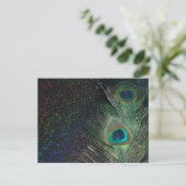 Black Rainbow Peacock Postkarte (Stehend Vorderseite)