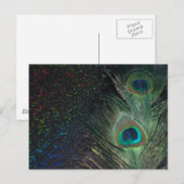 Black Rainbow Peacock Postkarte (Vorne/Hinten)