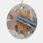 Black Rat Snake - Elaphe obsoleta obsoleta Keramik Ornament (Links)