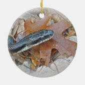 Black Rat Snake - Elaphe obsoleta obsoleta Keramik Ornament (Hinten)