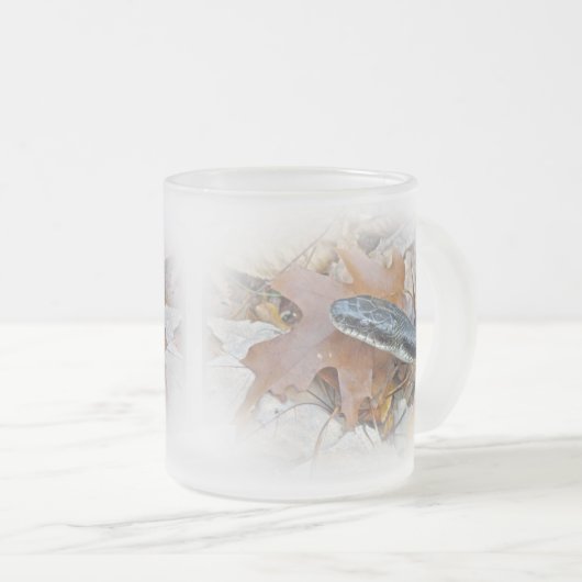 Black Rat Snake - Elaphe obsoleta obsoleta Mattglastasse (VorderseiteRechts)