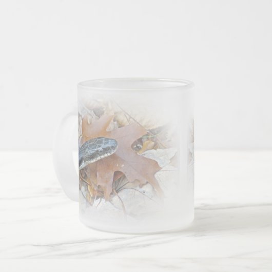 Black Rat Snake - Elaphe obsoleta obsoleta Mattglastasse (Vorderseite Links)