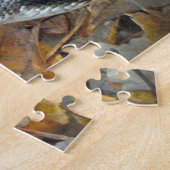 Black Rat Snake - Elaphe obsoleta obsoleta Puzzle (Seite)