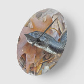Black Rat Snake - Elaphe obsoleta obsoleta Runde Wanduhr (Winkel)