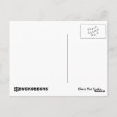 Black Rat Snake Postcard. Postkarte (Rückseite)