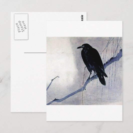 Black Raven Bird Postkarte (Vorne/Hinten)