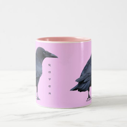 Black Raven Birdlovers Collection III Zweifarbige Tasse (Mittel)