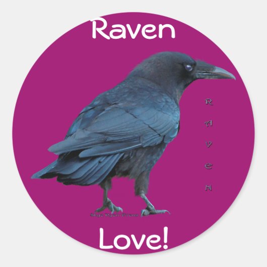 Black Raven Collection III Runder Aufkleber (Vorderseite)