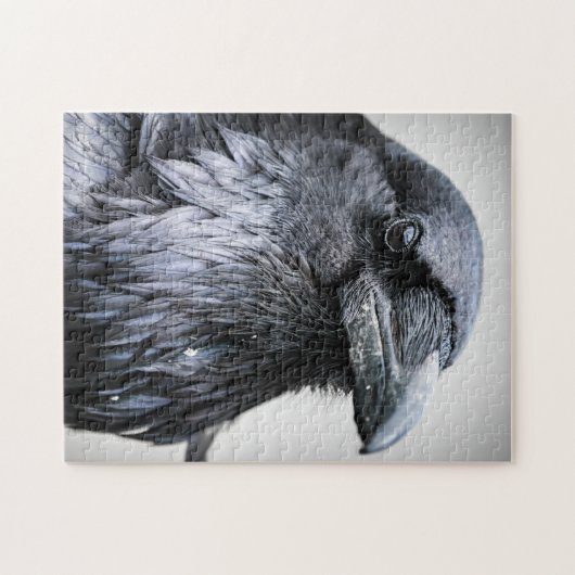 Black Raven Crow Bird Puzzle (Horizontal)