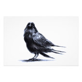 Black Raven Fotodruck (Vorne)