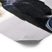 Black Raven - Kunstdruck Poster (Ecke)