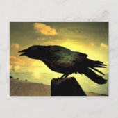 Black Raven Postkarte (Vorderseite)