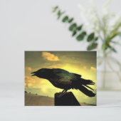 Black Raven Postkarte (Stehend Vorderseite)